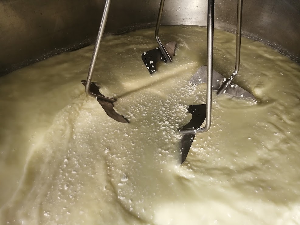 How cheese is made - the curd is being heated.