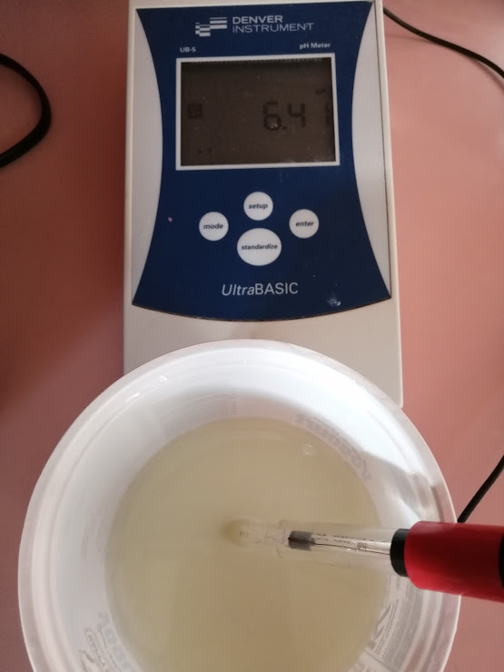 How cheese is made - measuring the pH of the curd