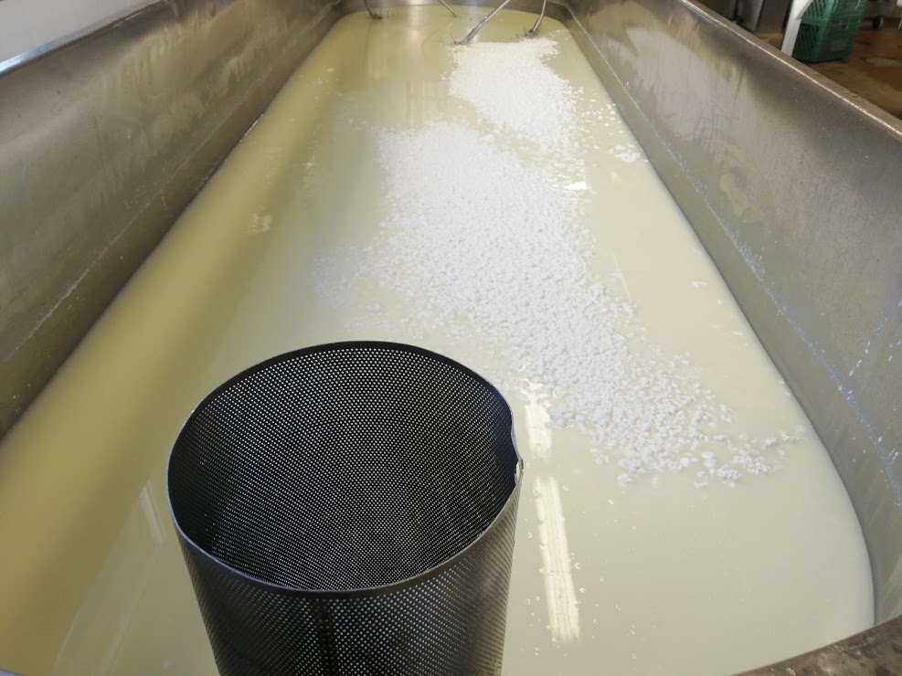 How cheese is made - the whey is drained from the curd.
