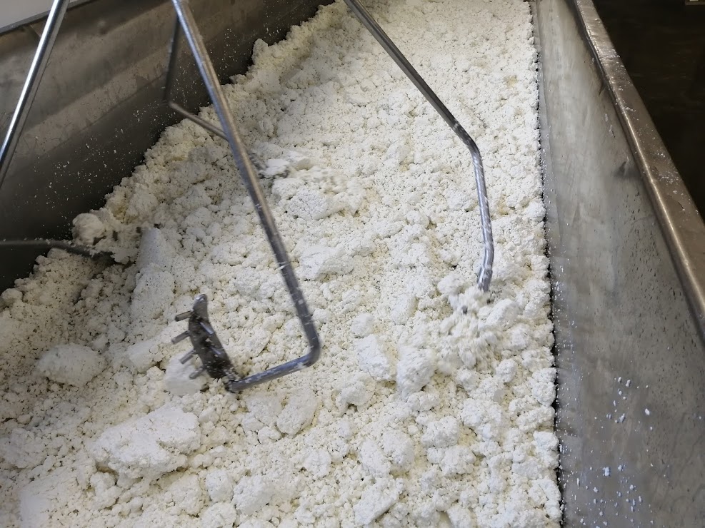How cheese is made - salting of the cheese curds