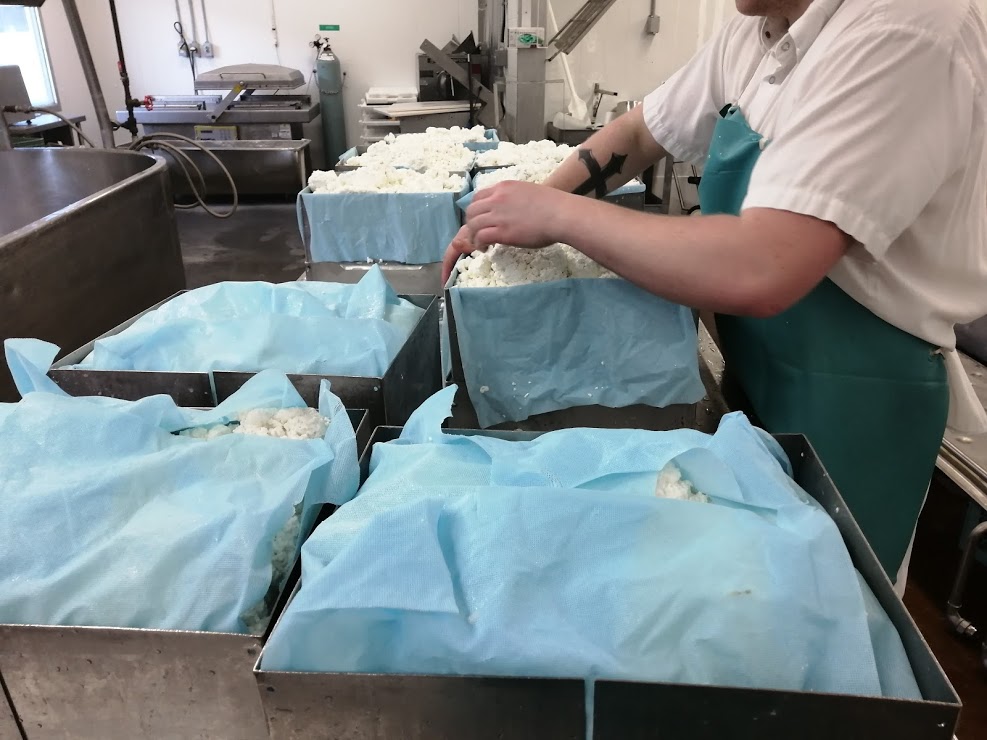 How cheese is made - closing up the cheese moulds