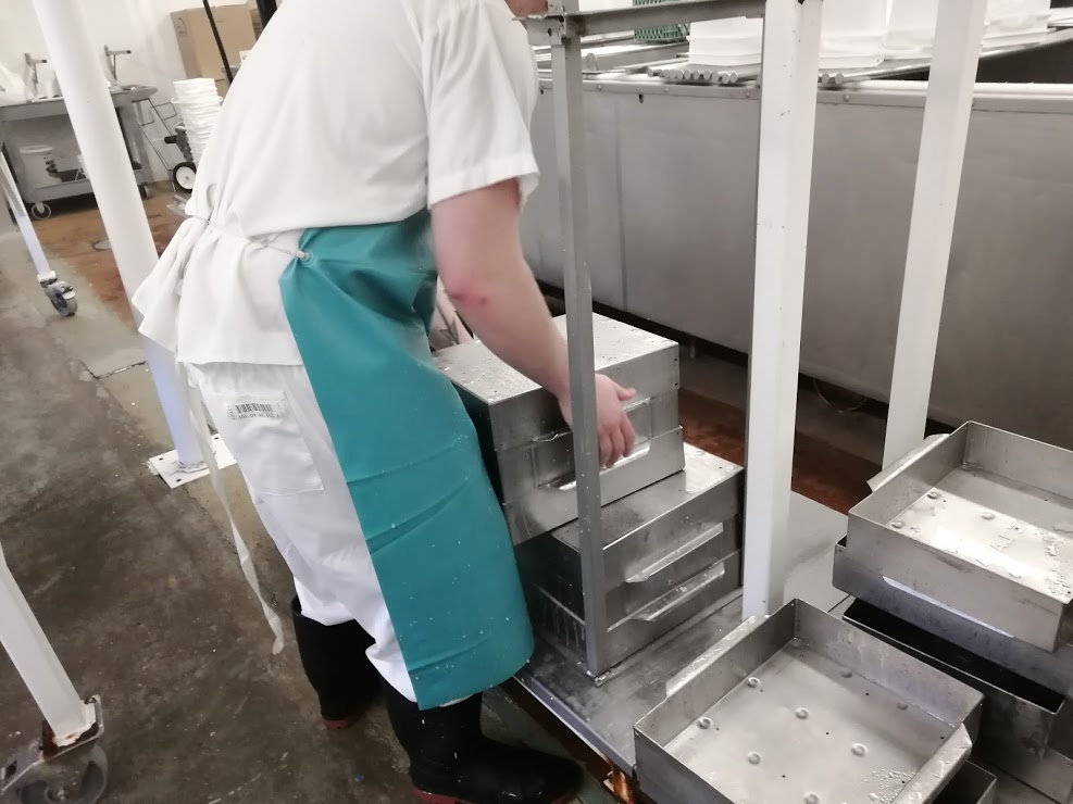 How cheese is made - the cheese blocks are transferred onto the cheese press