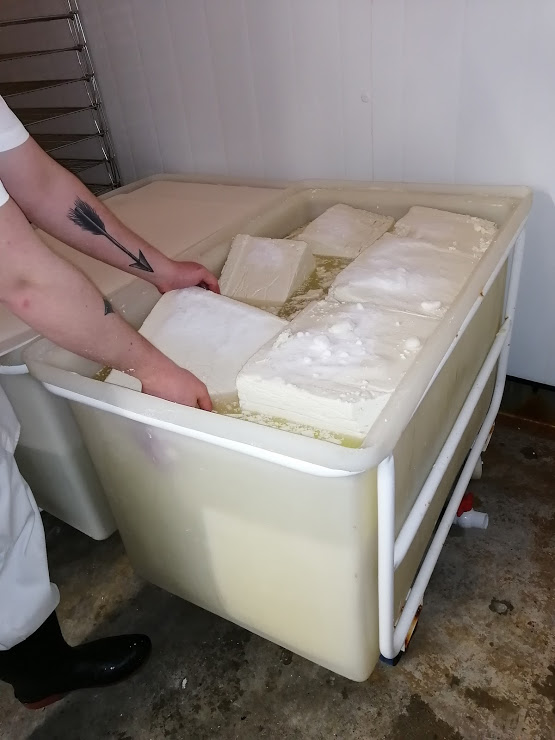 How cheese is made - salting of the fresh cheese blocks