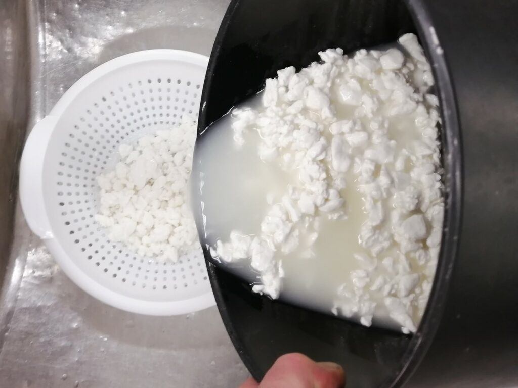 How to Make Cottage Cheese at Home - The Cheese Shark